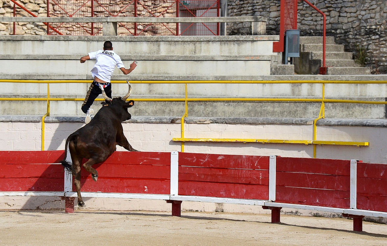 直接競爭對 直接競爭對